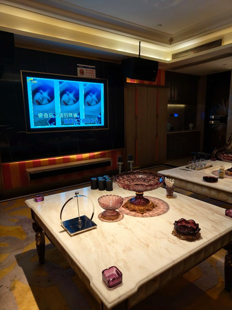 九江商务ktv环境好吗真值得推荐-永修县ktv预订